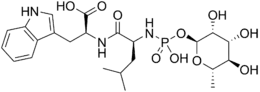 Skeletal formula of phosphoramidon