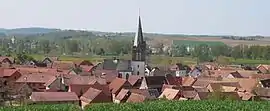 A general view of Ingenheim