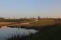 Lake Olson Beach and parking lot area