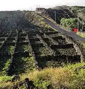 Typical protective walls and winery's house from basalt stones in the west of the island of Pico