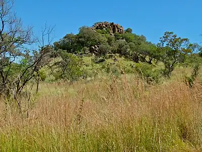 Rocky outcrop