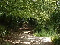 Image 6Credit: Oliver DixonThe Pilgrims' Way is the route supposed to have been taken by pilgrims from Winchester in Hampshire, England, to the shrine of Thomas Becket at Canterbury in Kent.More about the Pilgrims' Way... (from Portal:Kent/Selected pictures)