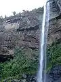 Pinaisara-no-taki: Waterfall on the north of the island.