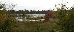 Ponds form between ridges and high points