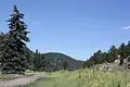 Pinecliffe, CO