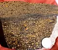 Vadose pisoliths and "birdseyes" in coastal carbonate sand, emergent; outer shelf.