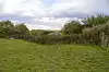 Pitsea Marsh
