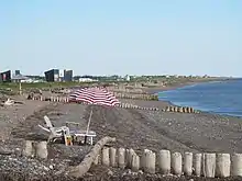 Beach with groynes.