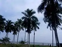 Image 30Kribi Beach  (from Tourism in Cameroon)