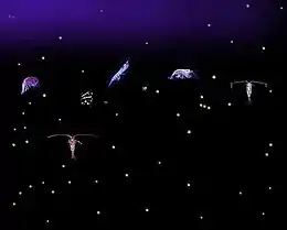 Six relatively large variously-shaped organisms with dozens of small light-colored dots all against a dark background. Some of the organisms have antennae that are longer than their bodies.