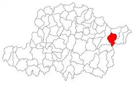 Location in Arad County