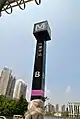 Pole