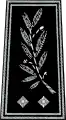 Contrôleur général (Controller General) the equivalent of Deputy Assistant Commissioner in the Metropolitan Police.