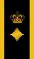 Danish National Police
