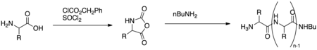 Poly-Leucine Synthesis