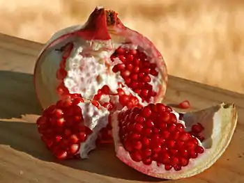 &nbsp;
