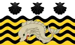 Flag of Poole
