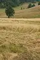 Place Kneževo Polje, Small Povlen
