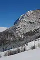 Top of Great Povlen