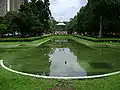The square.