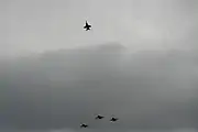 U.S. Navy aviators execute a missing man formation during the memorial flyover of the George Bush Presidential Library Center on December 6, 2018
