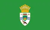 Presidential Standard of Guyana under President David A. Granger