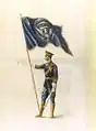 President's Standard 1916