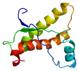 Prion protein in its properly folded form
