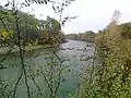 Prut River between Dămideni (Romania) and Balatina (Moldova)