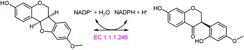 Pterocarpin synthase reaction