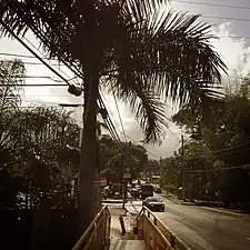 Puerto Rico Highway 19 in Guaynabo