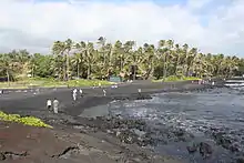 Photo of coastline with 10 people standing or walking on the beach and palm trees in background