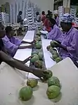 Image 5Mango packaging (from Malian cuisine)