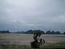 Quan Lạn Island