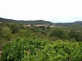 A general view of Quintillan