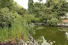 Lagoon in the botanical garden.