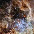 R136 observed with Hubble's WFC3.