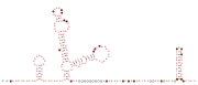 BTnc005 Secondary structure taken from the Rfam database. Family RF04178