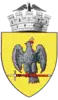 Coat of arms of Curtea de Argeș