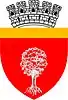 Coat of arms of Onești