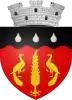 Coat of arms of Ștefănești