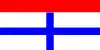 Flag of Târgu Secuiesc