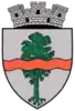 Coat of arms of Pucioasa