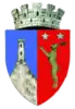 Coat of arms of Tecuci