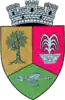 Coat of arms of Geoagiu
