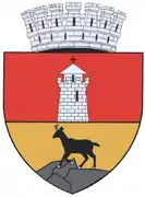 Piatra Neamț