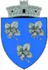 Coat of arms of Aluniș