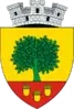 Coat of arms of Cajvana