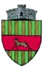 Coat of arms of Cornu Luncii