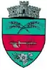 Coat of arms of Drăgoiești